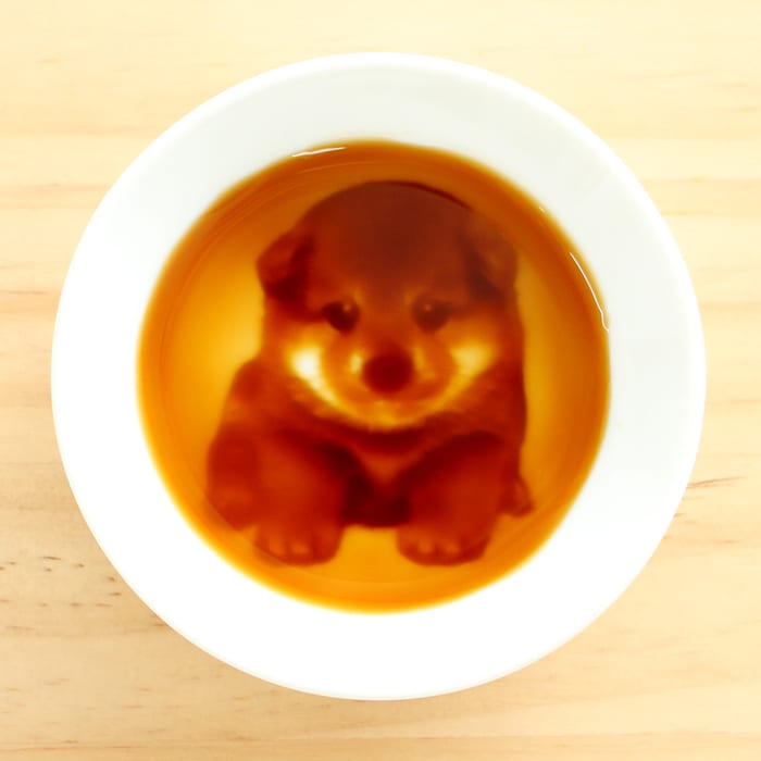 子犬（柴犬）の醤油皿/木箱入り2枚セット